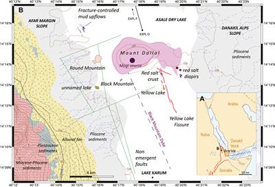 Tectonic and hydrothermal activity at the Yellow Lake fissure in response to the 2004 Dallol dyke intrusion event in Afar